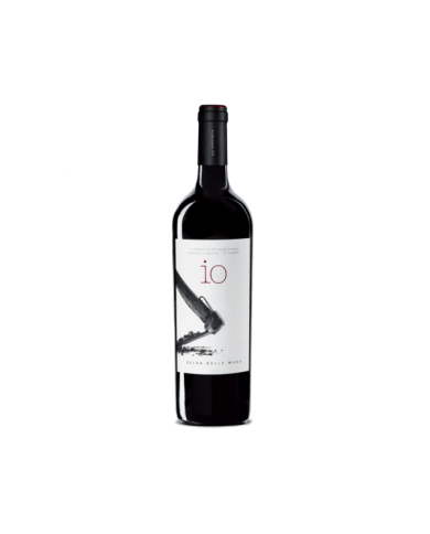 Rode wijnen  io Selva delle Mura Montepulciano D’Abruzzo DOC 2015 - Nic Tartaglia 23,10 â‚¬ Rode wijnen  io Selva delle Mura Montepulciano D’Abruzzo DOC 2015 - Nic Tartaglia 23,10 â‚¬