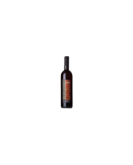 Rosé-Weine  Morandium – Cerasuolo D’Abruzzo D.O.C. 2019 - Villese 5,01 €