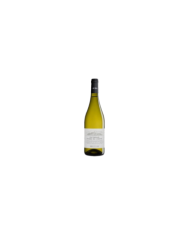 Witte Wijnen  Pecorino Terre di Chieti IGP 2024 - Feudo Antico 4,83 €