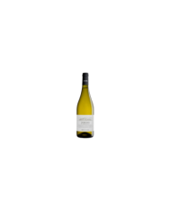 White wines  Trebbiano D'Abruzzo DOP 2020 - Feudo Antico 5,01 €