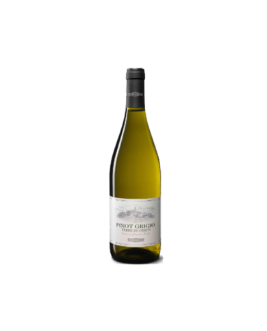 Vini Bianchi  Pinot Grigio Terre di Chieti IGP 2020 - Feudo Antico 4,83 € Vini Bianchi  Pinot Grigio Terre di Chieti IGP 2020 - Feudo Antico 4,83 €