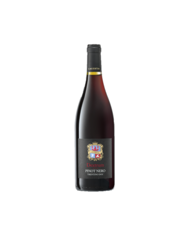 Red Wines  Pinot Nero Dextrum Trentino DOC 2020 - Lagertal 16,39 € Red Wines  Pinot Nero Dextrum Trentino DOC 2020 - Lagertal 16,39 €