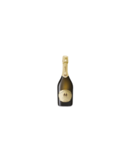 Witte Wijnen  Conegliano-Valdobbiadene Prosecco Superiore DOCG Spumante Extra Brut - Tenuta 2Castelli Zago Gasparini 10,71 â‚¬ Witte Wijnen  Conegliano-Valdobbiadene Prosecco Superiore DOCG Spumante Extra Brut - Tenuta 2Castelli Zago Gasparini 10,71 â‚¬