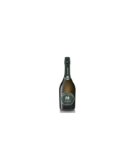 White wines  Conegliano Valdobbiadene Prosecco Superiore DOCG Spumante Brut - Tenuta 2Castelli Zago Gasparini 10,71 €