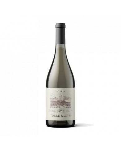 Witte Wijnen  Pecorino Colline Pescaresi IGT 2021 - Torre Raone 10,64 â‚¬ Witte Wijnen  Pecorino Colline Pescaresi IGT 2021 - Torre Raone 10,64 â‚¬
