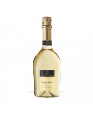 Sparkling Wines  Blanc de Blancs Extra Dry Millesimato 2023 - Colle dei Pini 8,11 â‚¬ Sparkling Wines  Blanc de Blancs Extra Dry Millesimato 2023 - Colle dei Pini 8,11 â‚¬