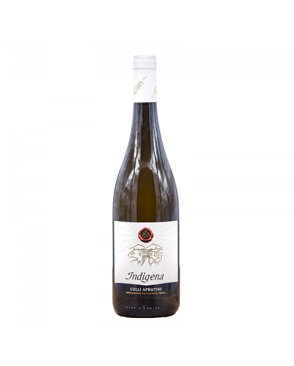 Witte Wijnen  Indigena Colli Aprutini IGT 2021 Bio - Cantina Cioti 8,70 â‚¬ Witte Wijnen  Indigena Colli Aprutini IGT 2021 Bio - Cantina Cioti 8,70 â‚¬