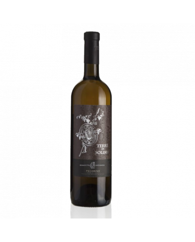 Witte Wijnen  Terre di Solima Pecorino IGP Terre di Chieti 2022 - Rinascita Lancianese 5,40 â‚¬ Witte Wijnen  Terre di Solima Pecorino IGP Terre di Chieti 2022 - Rinascita Lancianese 5,40 â‚¬