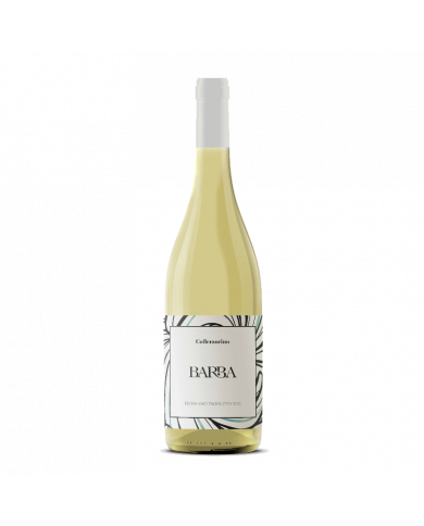 White wines  Trebbiano D’Abruzzo DOC 2021 Colle Morino - Fratelli Barba 4,80 € White wines  Trebbiano D’Abruzzo DOC 2021 Colle Morino - Fratelli Barba 4,80 €
