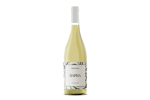Vini Bianchi  Pecorino IGT Colli Aprutini 2023 Colle Morino - Fratelli Barba 7,02&nbsp;€