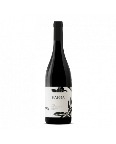 Home  Yang Montepulciano D’Abruzzo DOCG 2021 Colline Teramane - Fratelli Barba 8,05 € Home  Yang Montepulciano D’Abruzzo DOCG 2021 Colline Teramane - Fratelli Barba 8,05 €