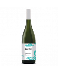 White wines  Vignafranca Pecorino IGT Colli Aprutini 2021 - Fratelli Barba 7,70 â‚¬ White wines  Vignafranca Pecorino IGT Colli Aprutini 2021 - Fratelli Barba 7,70 â‚¬