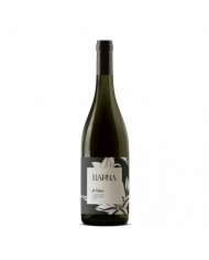 Vini Bianchi  di Mare Trebbiano D’Abruzzo DOC 2019 - Fratelli Barba 17,92 €
