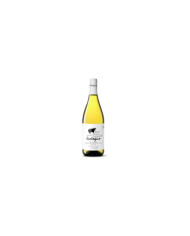 White wines  Pecorino Biologico Sostenibile 2024 - Cantina Tollo 6,89 €