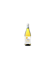 Vini Bianchi  Trebbiano D'Abruzzo DOP Sostenibile Biologico 2024 - Cantina Tollo 7,34 €
