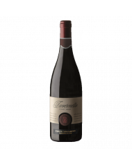Red Wines  Tavernetto Pinot Nero Dell'Oltrepò Pavese DOC 2019 - Conte Vistarino 24,92 €