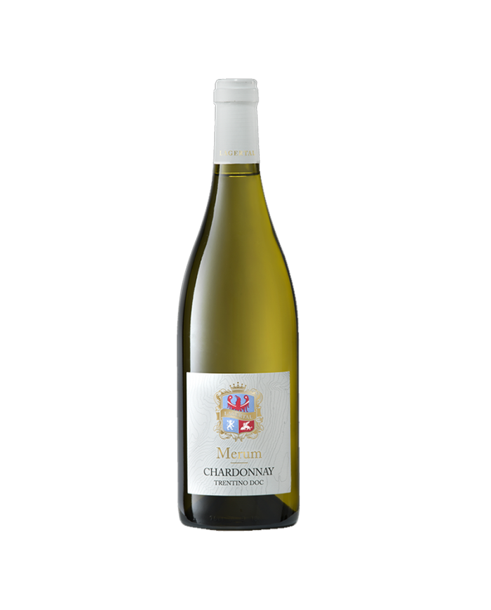 Vini Bianchi  Chardonnay Merum Trentino DOC 2019 - Lagertal 14,75 €