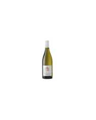 Vini Bianchi  Chardonnay Merum Trentino DOC 2019 - Lagertal 14,75 €