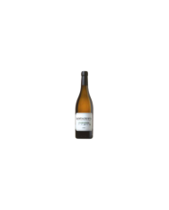 White wines  Chardonnay Terre Aquilane IGP 2016 - Santa Giusta - Marchesi de' Cordano 19,46 €