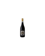 Vini Rossi  12 Nodi Montepulciano D'Abruzzo DOC 2019 - Naviganti 10,08 €