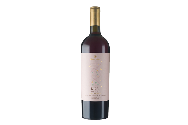 Vini Rosè  Cerasuolo D’Abruzzo DOC Superiore BIO 2024 – DNA D’Eusanio - Chiusa Grande 15,53&nbsp;€