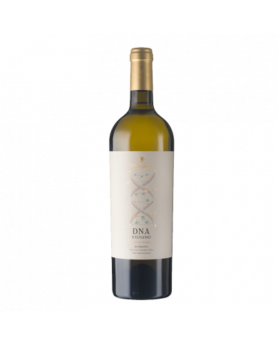 White wines  DNA D’Eusanio Bombino Colline Pescaresi IGT BIO 2021 - Chiusa Grande 15,53 € White wines  DNA D’Eusanio Bombino Colline Pescaresi IGT BIO 2021 - Chiusa Grande 15,53 €
