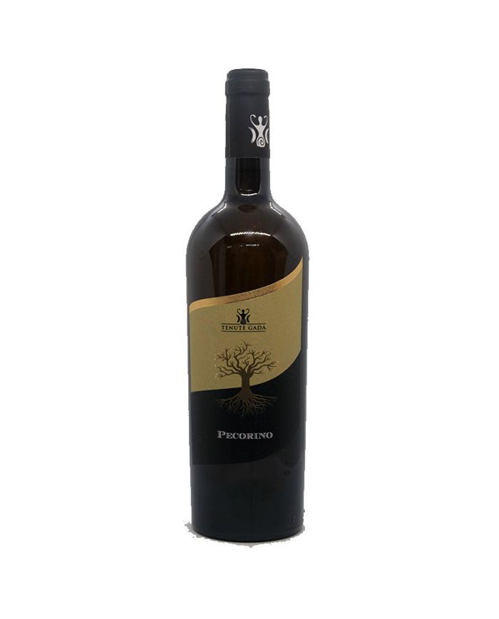 Witte Wijnen  Pecorino Colline Pescaresi IGT 2019 - Tenute Gada 7,38 €