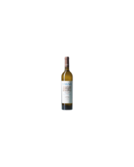 White wines  S. Michele Abruzzo DOC Passerina 2019 - Centorame 8,82 €