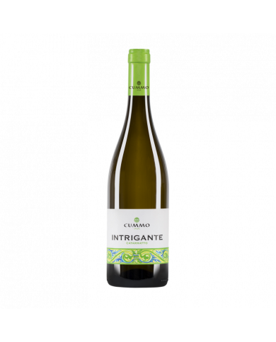 Witte Wijnen  Intrigante Catarratto Bianco Terre Siciliane IGT 2021 - Cummo Vini 6,37 â‚¬ Witte Wijnen  Intrigante Catarratto Bianco Terre Siciliane IGT 2021 - Cummo Vini 6,37 â‚¬
