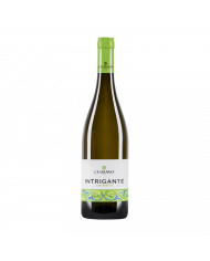 Witte Wijnen  Intrigante Catarratto Bianco Terre Siciliane IGT 2021 - Cummo Vini 6,37 â‚¬ Witte Wijnen  Intrigante Catarratto Bianco Terre Siciliane IGT 2021 - Cummo Vini 6,37 â‚¬