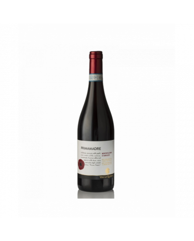 Red Wines  Montepulciano D’Abruzzo DOC 2016 Magnum – Primamadre - Vini la Quercia 30,57 € Red Wines  Montepulciano D’Abruzzo DOC 2016 Magnum – Primamadre - Vini la Quercia 30,57 €