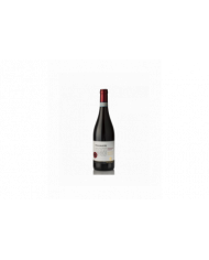 Red Wines  Montepulciano D’Abruzzo DOC 2016 Magnum – Primamadre - Vini la Quercia 30,57 €