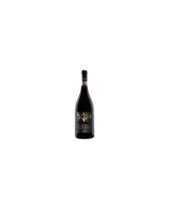 Vini Rossi  Turan Montepulciano D’Abruzzo DOCG Riserva 2009 - Cantine Torri 21,28 €