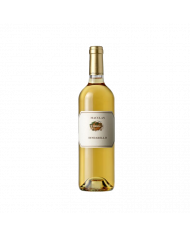 Witte Wijnen  Dindarello Veneto IGT 2021 ( 375 ml ) - Maculan 11,15 €