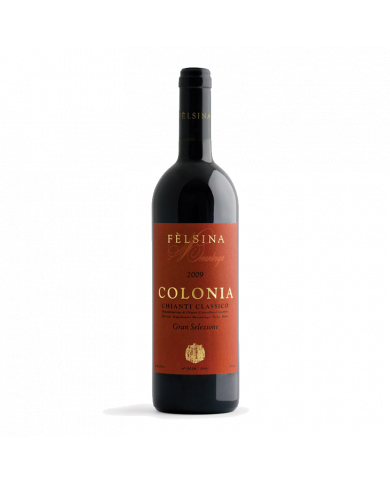 Rode wijnen  Colonia Chianti Classico Gran Selezione 2018 - Fattoria Felsina 81,00 €
