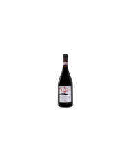 Rode wijnen  Bakán Montepulciano D’Abruzzo Colline Teramane DOCG 2015 - Cantine Torri 11,06 €