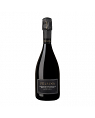 Sparkling Wines  Spumante Brut Blanc de Noir Metodo Classico - Fattoria Felsina 30,00 €