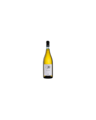 Witte Wijnen  420 Pecorino DOC Abruzzo 2020 - Cantine Torri 7,13 €