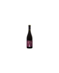 Vini Rossi  Corno Grande Montepulciano d'Abruzzo DOC Riserva 2017 - Ettore Galasso 7,50 €