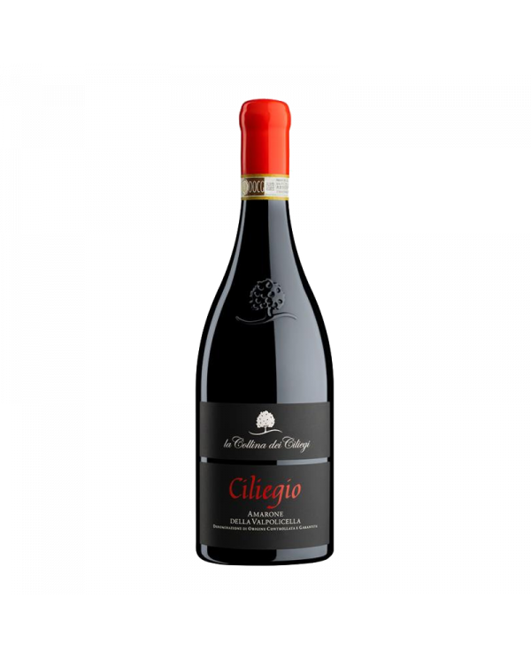 Red Wines  Ciliegio Amarone della Valpolicella 2016 - La Collina dei Ciliegi 113,10 â‚¬ Red Wines  Ciliegio Amarone della Valpolicella 2016 - La Collina dei Ciliegi 113,10 â‚¬