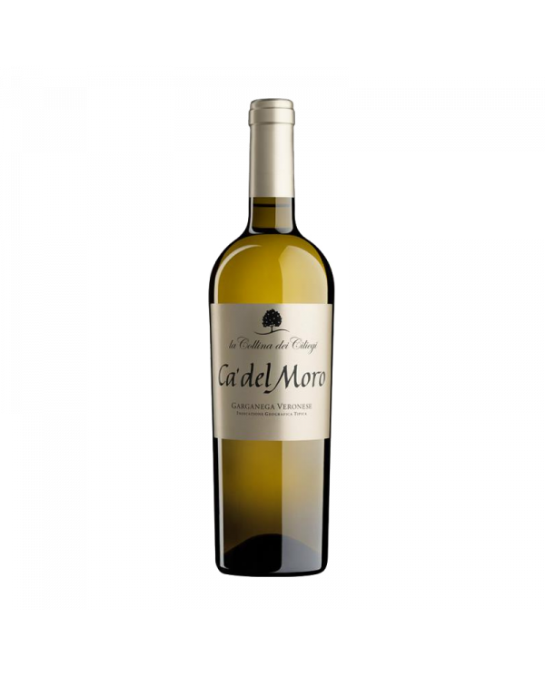 White wines  Ca' del Moro 2021 - La Collina dei Ciliegi 8,45 â‚¬ White wines  Ca' del Moro 2021 - La Collina dei Ciliegi 8,45 â‚¬