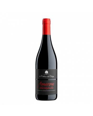 Red Wines  Amarone della Valpolicella 2018 Magnum - La Collina dei Ciliegi 70,20 €