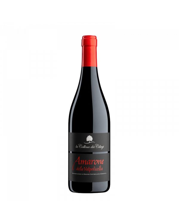 Rode wijnen  Amarone della Valpolicella 2018 Magnum - La Collina dei Ciliegi 70,20 €