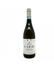 White wines  Alarius Abruzzo DOC Pecorino Superiore Biologico 2021 - Cioti 8,70 €