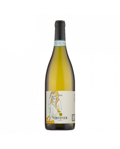 White wines  La Foia Pecorino Superiore DOC 2021 - Fontefico 28,24 € White wines  La Foia Pecorino Superiore DOC 2021 - Fontefico 28,24 €