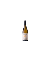 Vini Bianchi  Fosso Cancelli Trebbiano D'Abruzzo DOP 2019 - Ciavolich 23,80 €