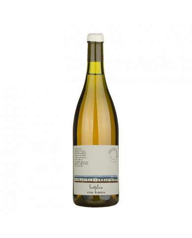 White wines  Dire Bere Baciare Bianco Macerato Orange 2022 - Fontefico 26,64 € White wines  Dire Bere Baciare Bianco Macerato Orange 2022 - Fontefico 26,64 €