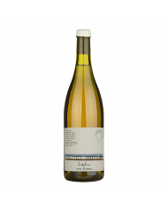 Vini Bianchi  Dire Bere Baciare Bianco Macerato Orange 2022 - Fontefico 26,64 €