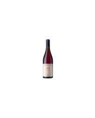 Rosé-Weine  Fosso Cancelli Cerasuolo D’Abruzzo DOP 2019 - Ciavolich 26,89 €