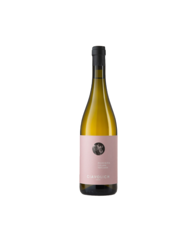 White wines  Passerina Colline Pescaresi IGP 2020 - Ciavolich 9,84 € White wines  Passerina Colline Pescaresi IGP 2020 - Ciavolich 9,84 €
